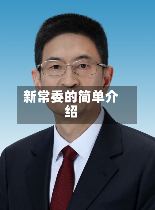 新常委的简单介绍