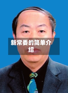 新常委的简单介绍-第3张图片