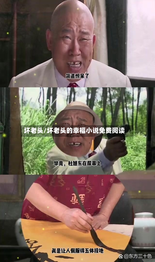 坏老头/坏老头的幸福小说免费阅读