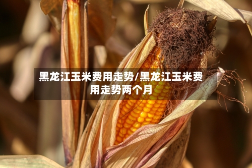 黑龙江玉米费用走势/黑龙江玉米费用走势两个月-第2张图片