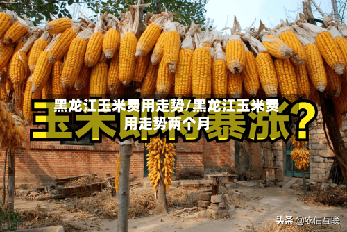 黑龙江玉米费用走势/黑龙江玉米费用走势两个月