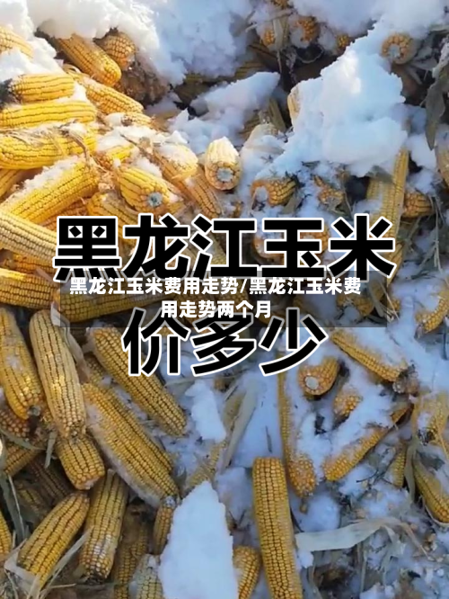 黑龙江玉米费用走势/黑龙江玉米费用走势两个月-第3张图片