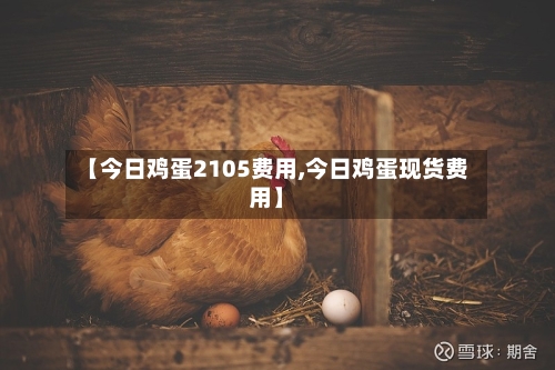 【今日鸡蛋2105费用,今日鸡蛋现货费用】