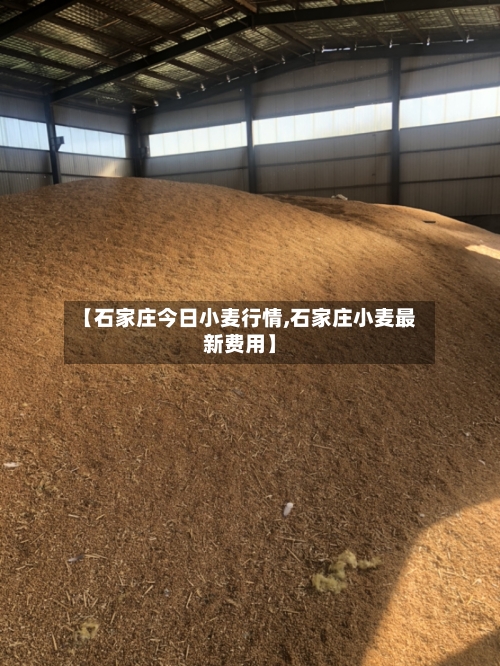 【石家庄今日小麦行情,石家庄小麦最新费用】