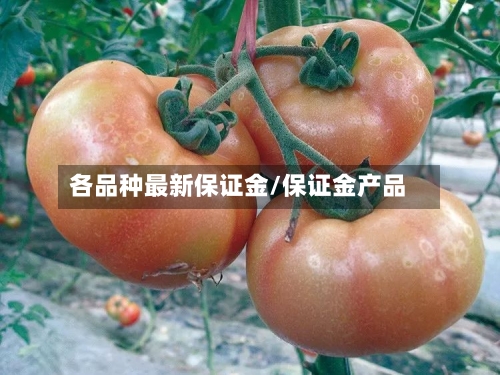 各品种最新保证金/保证金产品-第3张图片