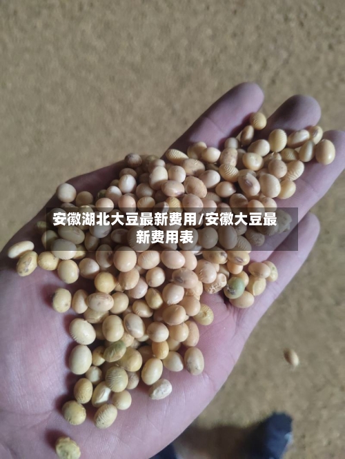 安徽湖北大豆最新费用/安徽大豆最新费用表