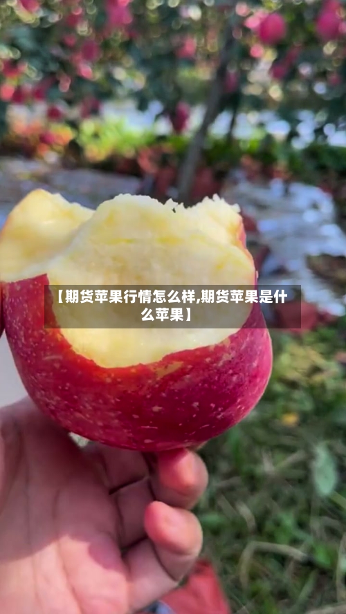 【期货苹果行情怎么样,期货苹果是什么苹果】-第3张图片