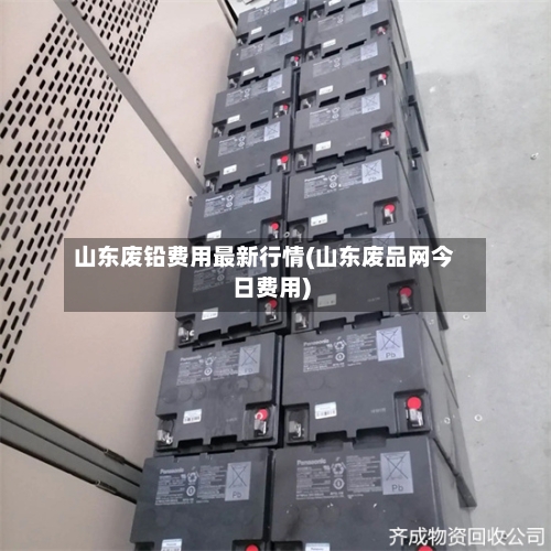 山东废铅费用最新行情(山东废品网今日费用)-第2张图片