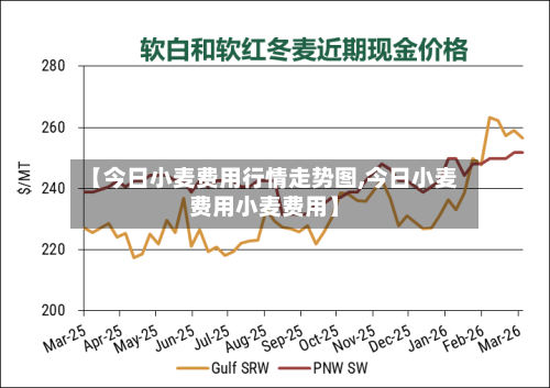 【今日小麦费用行情走势图,今日小麦费用小麦费用】-第3张图片
