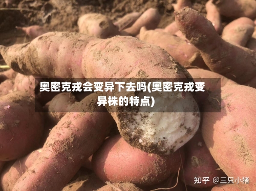 奥密克戎会变异下去吗(奥密克戎变异株的特点)-第2张图片