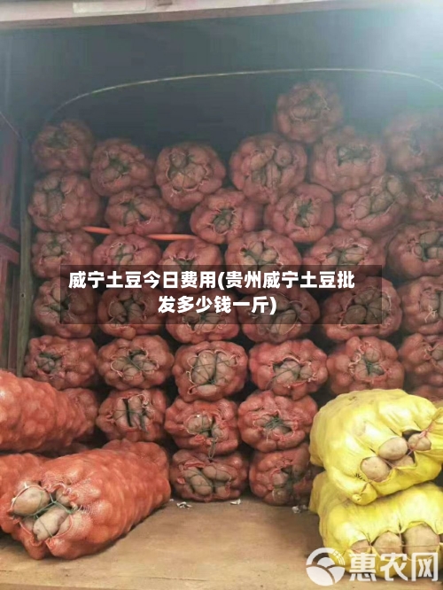 威宁土豆今日费用(贵州威宁土豆批发多少钱一斤)
