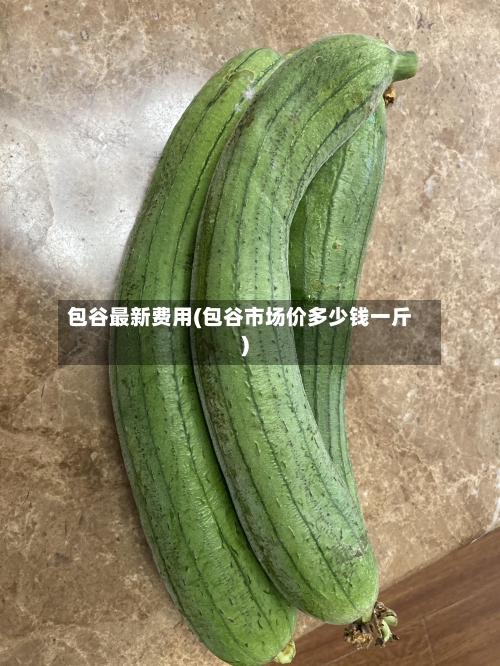 包谷最新费用(包谷市场价多少钱一斤)-第3张图片