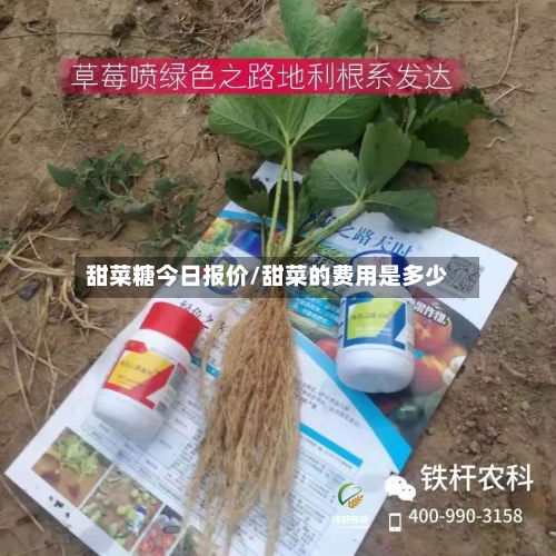 甜菜糖今日报价/甜菜的费用是多少