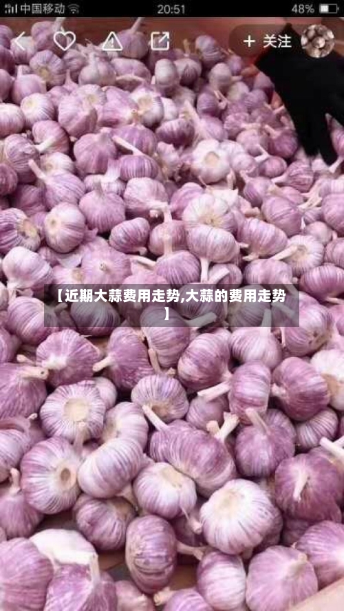 【近期大蒜费用走势,大蒜的费用走势】-第2张图片
