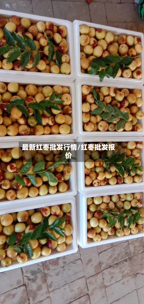 最新红枣批发行情/红枣批发报价