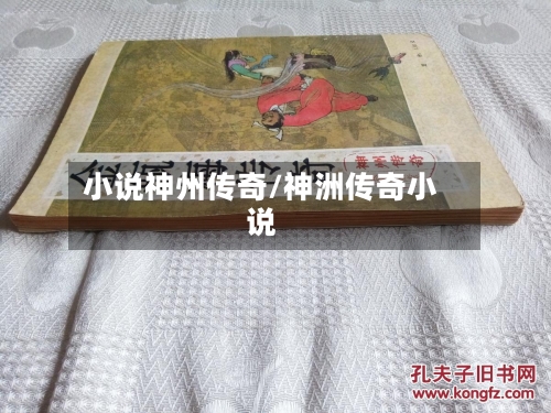 小说神州传奇/神洲传奇小说