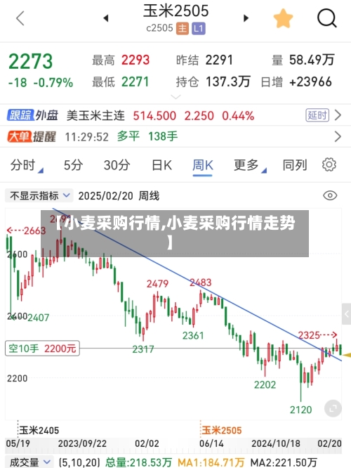 【小麦采购行情,小麦采购行情走势】-第3张图片
