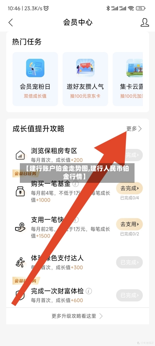【建行账户铂金走势图,建行人民币铂金行情】