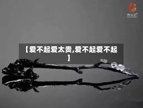 【爱不起爱太贵,爱不起爱不起】