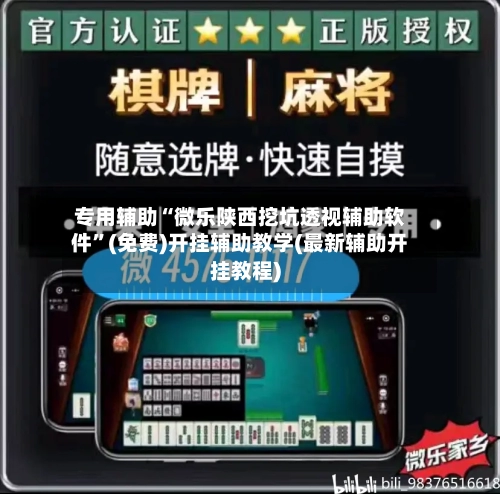 专用辅助“微乐陕西挖坑透视辅助软件	”(免费)开挂辅助教学(最新辅助开挂教程)-第3张图片