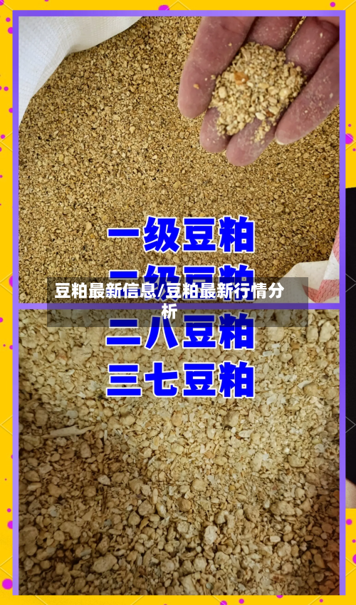豆粕最新信息/豆粕最新行情分析-第2张图片