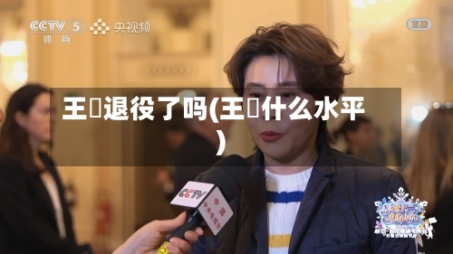 王濛退役了吗(王濛什么水平)