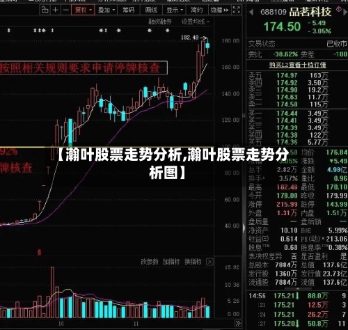 【瀚叶股票走势分析,瀚叶股票走势分析图】-第2张图片