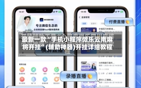 最新一款“手机小程序微乐云南麻将开挂”(辅助神器)开挂详细教程-第2张图片