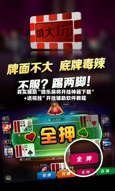 真实辅助“微乐麻将开挂神器下载”+透视挂”开挂辅助软件教程