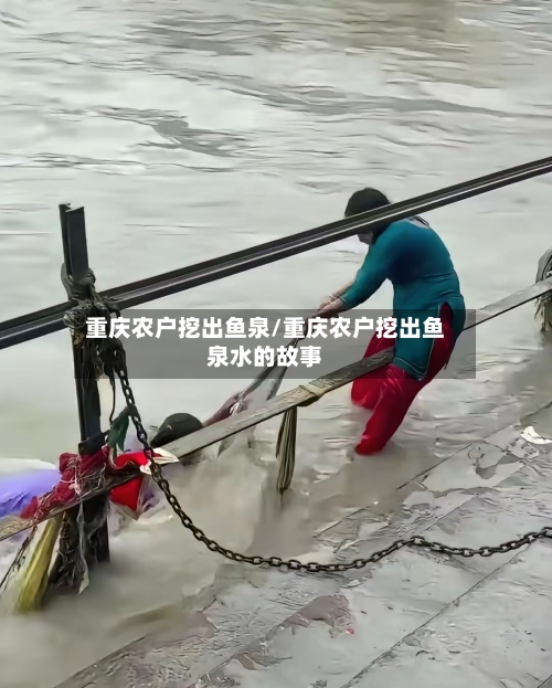 重庆农户挖出鱼泉/重庆农户挖出鱼泉水的故事-第2张图片