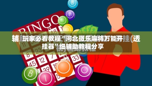 玩家必看教程“河北微乐麻将万能开挂器	”细辅助教程分享-第3张图片