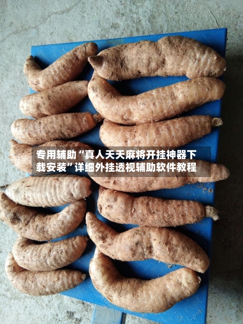 专用辅助“真人天天麻将开挂神器下载安装”详细外挂透视辅助软件教程-第3张图片