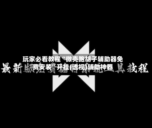 玩家必看教程“微壳跑胡子辅助器免费安装”开挂(透视)辅助神器-第2张图片