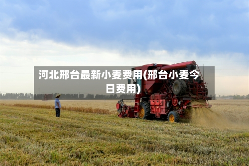 河北邢台最新小麦费用(邢台小麦今日费用)-第3张图片