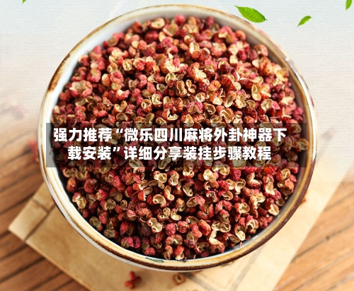 强力推荐“微乐四川麻将外卦神器下载安装	”详细分享装挂步骤教程-第2张图片