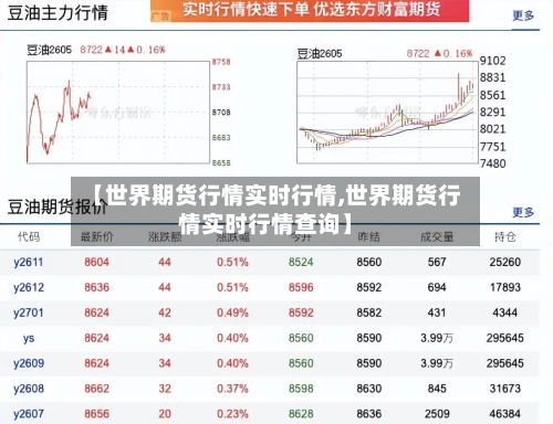 【世界期货行情实时行情,世界期货行情实时行情查询】