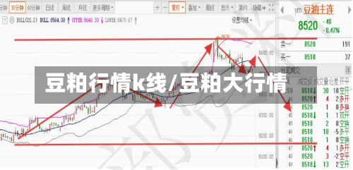 豆粕行情k线/豆粕大行情