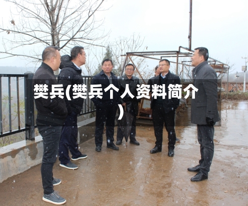 樊兵(樊兵个人资料简介)