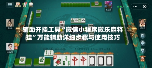 辅助开挂工具“微信小程序微乐麻将挂	”万能辅助详细步骤与使用技巧-第2张图片