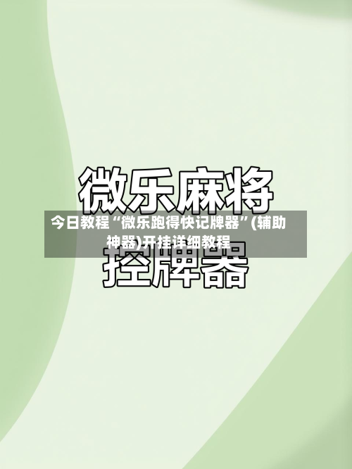 今日教程“微乐跑得快记牌器”(辅助神器)开挂详细教程-第3张图片