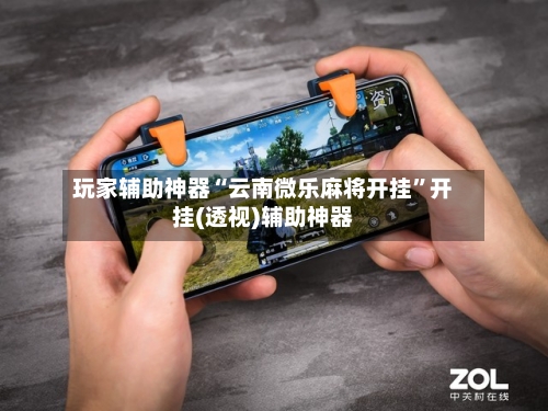 玩家辅助神器“云南微乐麻将开挂	”开挂(透视)辅助神器-第3张图片