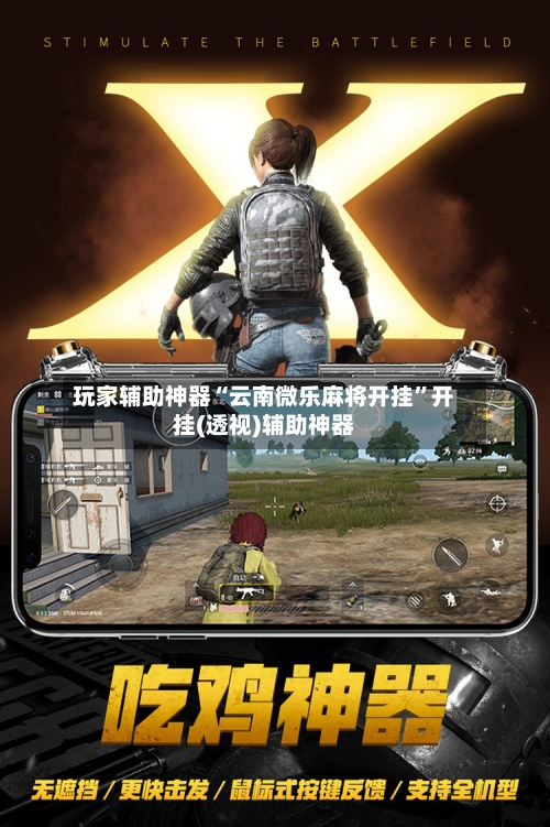 玩家辅助神器“云南微乐麻将开挂”开挂(透视)辅助神器-第2张图片