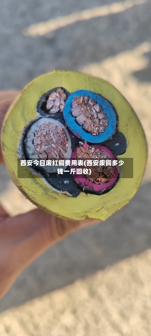 西安今日废红铜费用表(西安废铜多少钱一斤回收)