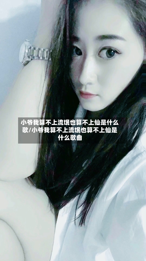 小爷我算不上流氓也算不上仙是什么歌/小爷我算不上流氓也算不上仙是什么歌曲