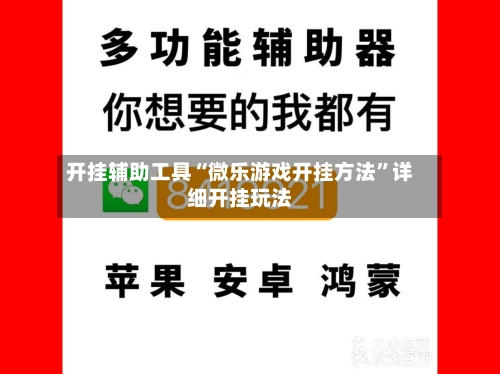 开挂辅助工具“微乐游戏开挂方法”详细开挂玩法