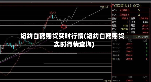 纽约白糖期货实时行情(纽约白糖期货实时行情查询)
