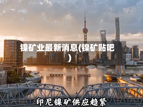 镍矿业最新消息(镍矿贴吧)-第2张图片