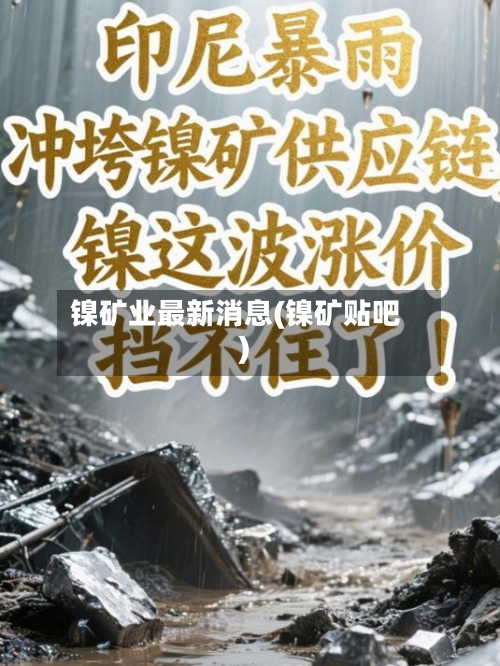 镍矿业最新消息(镍矿贴吧)