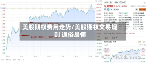 美股期权费用走势/美股期权交易规则 通俗易懂-第2张图片