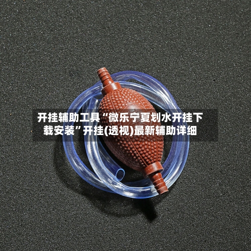 开挂辅助工具“微乐宁夏划水开挂下载安装	”开挂(透视)最新辅助详细-第3张图片